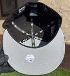 Minnesota Twins