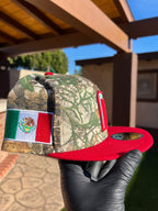 México Árbol Real