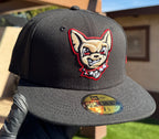 Chihuahuas de El Paso