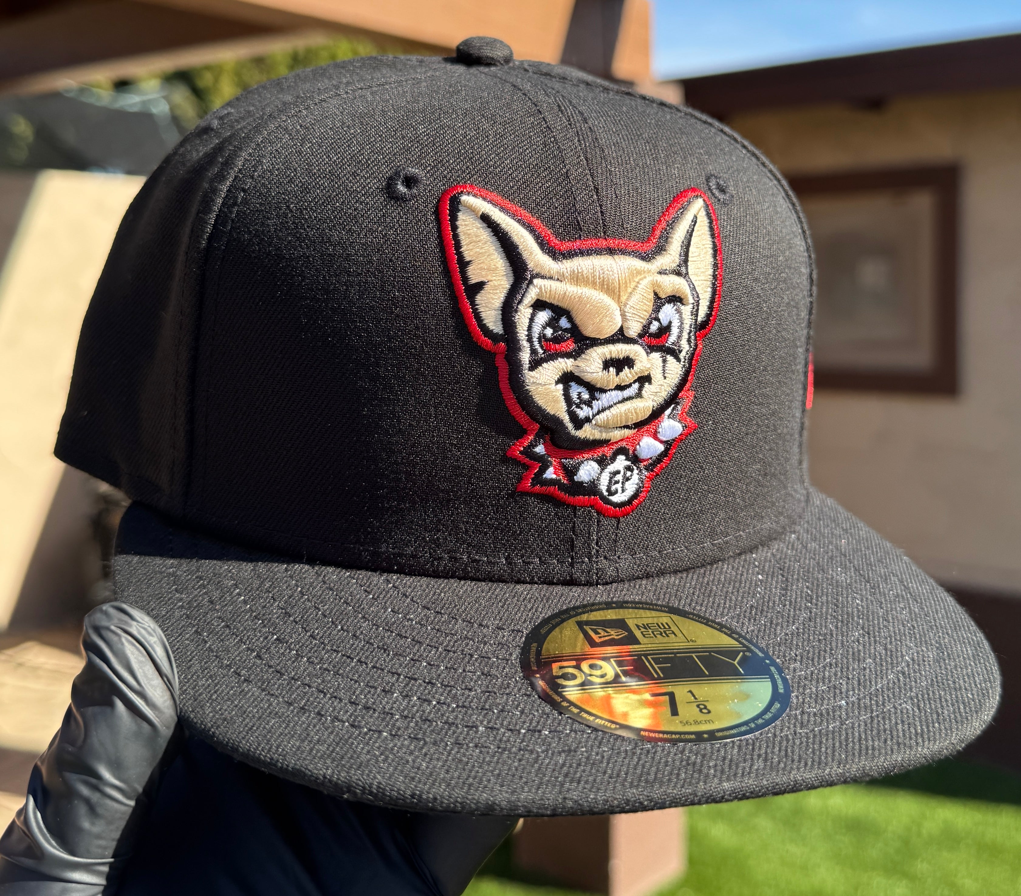 Chihuahuas de El Paso