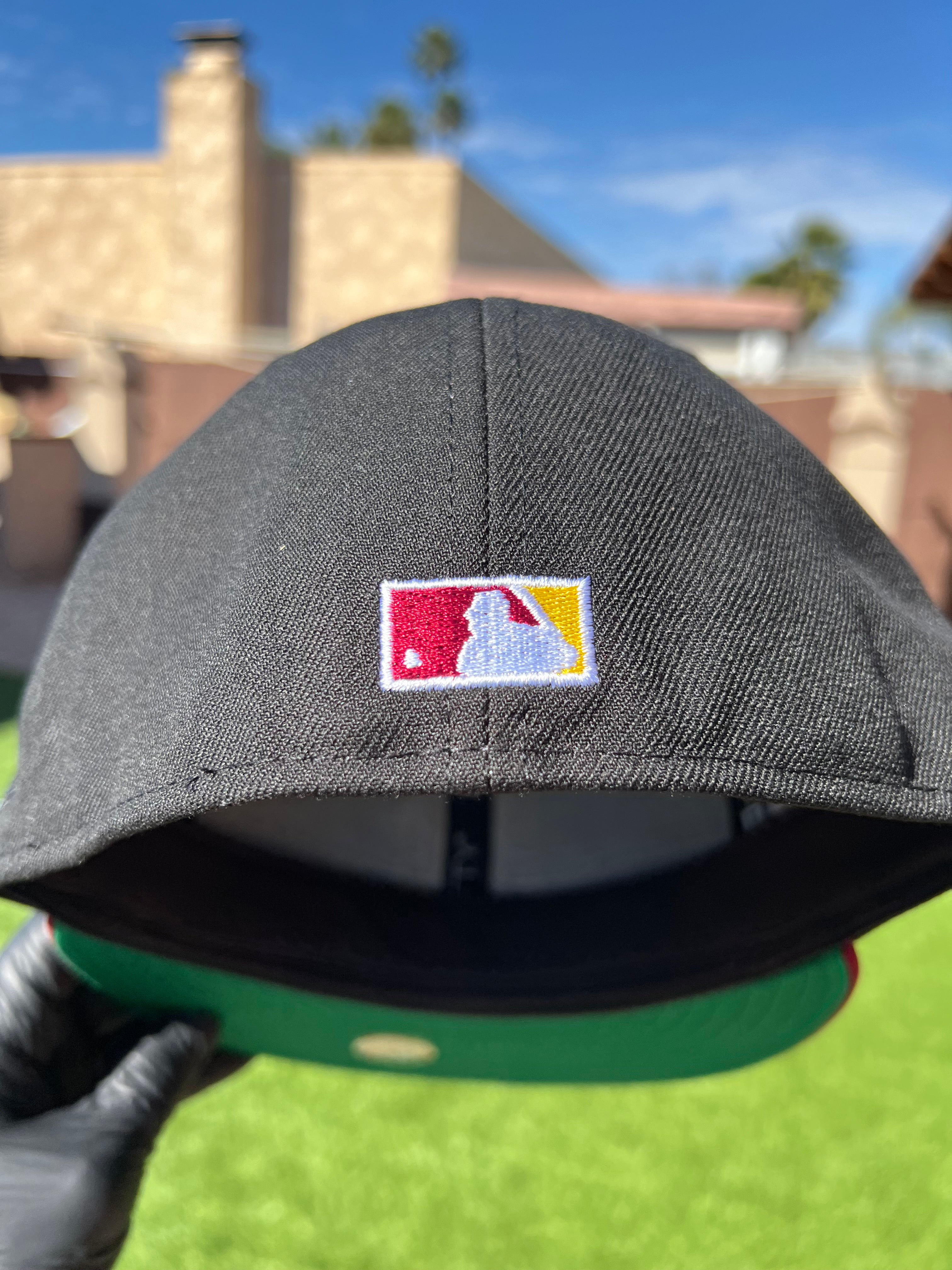 Mellizos de Minnesota