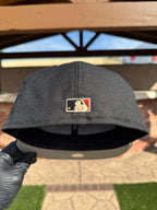 Astros de Houston