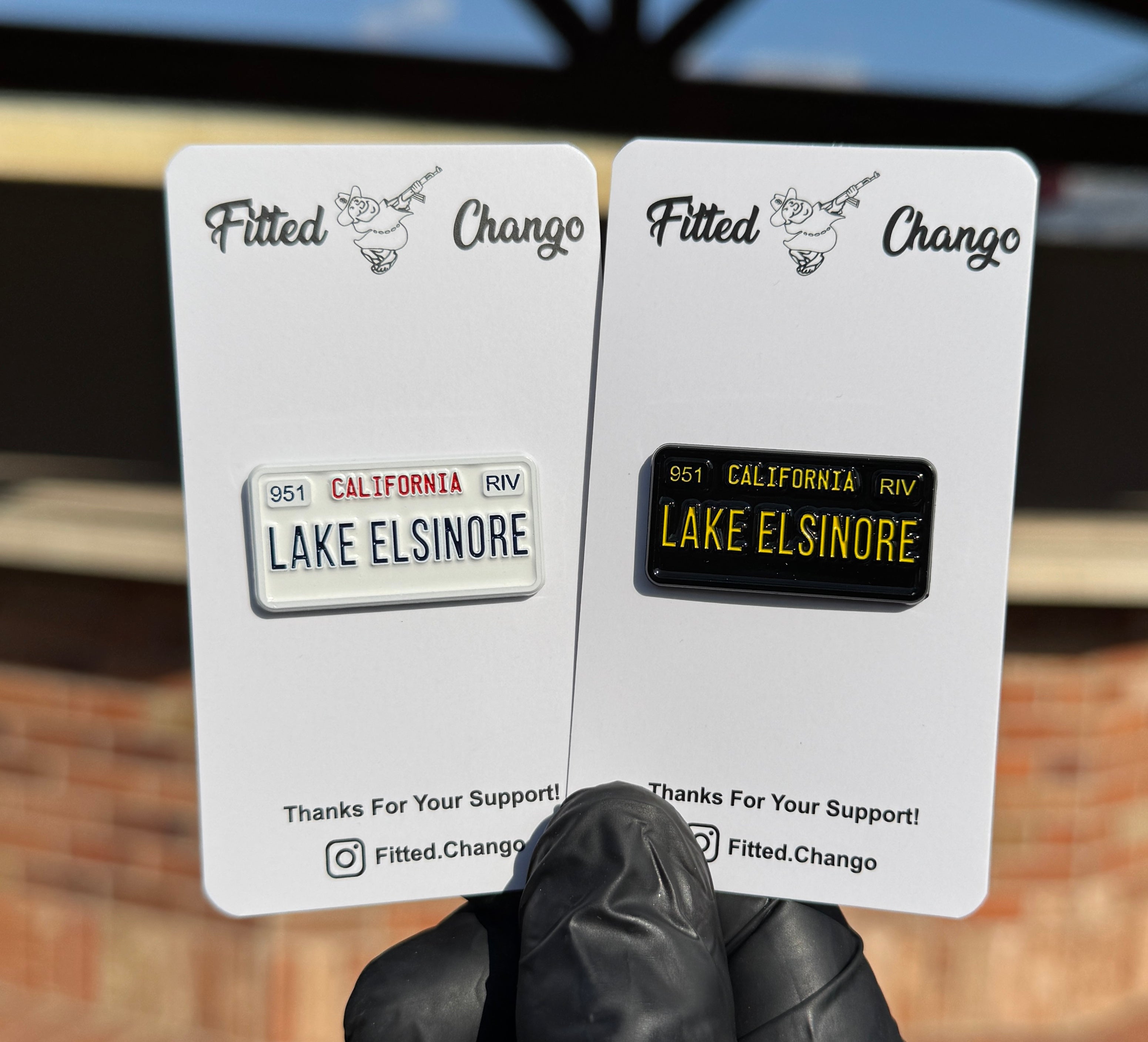 Pin de matrícula de Lake Elsinore