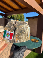 México Árbol Real