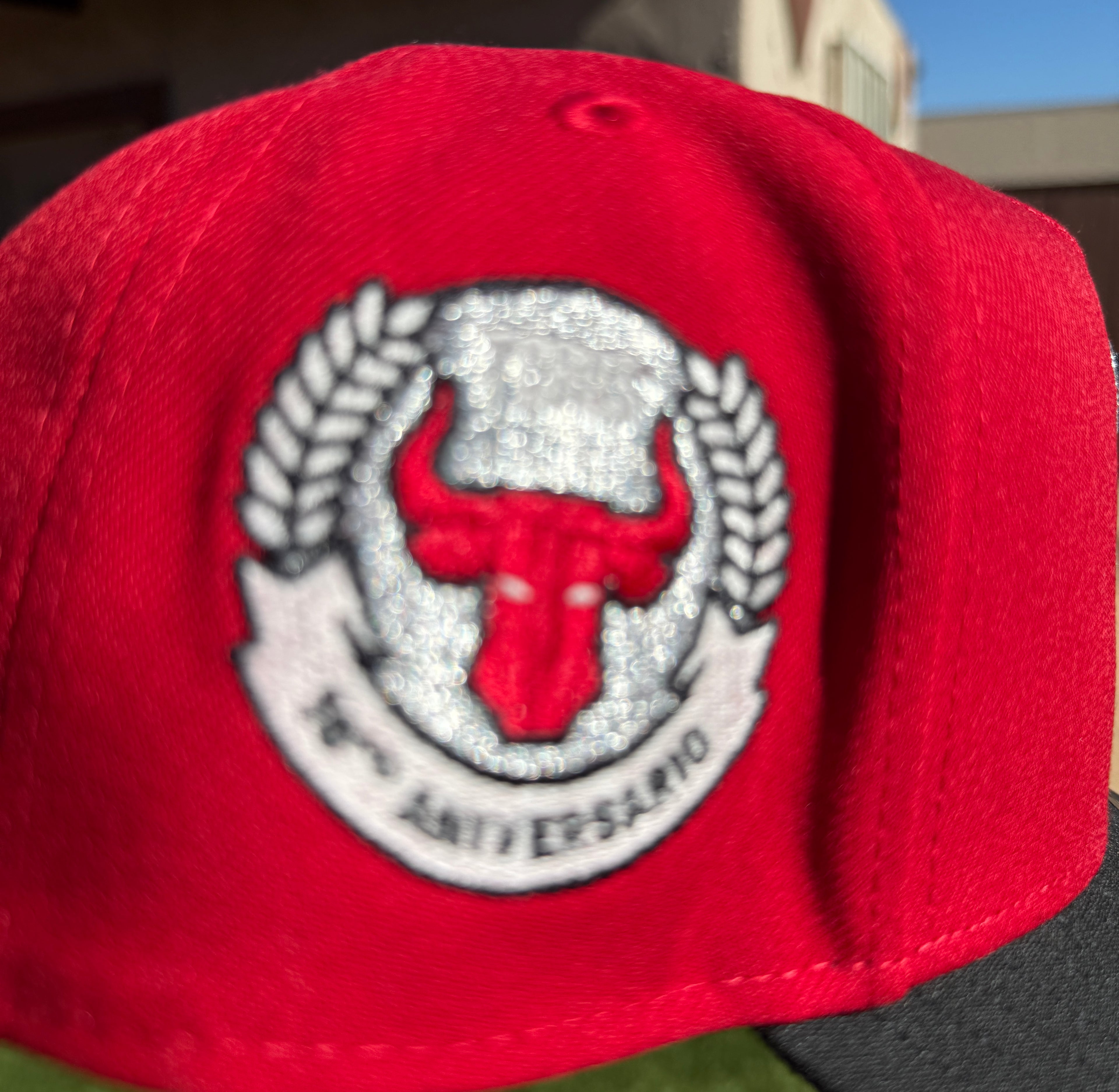 Toros De Tijuana