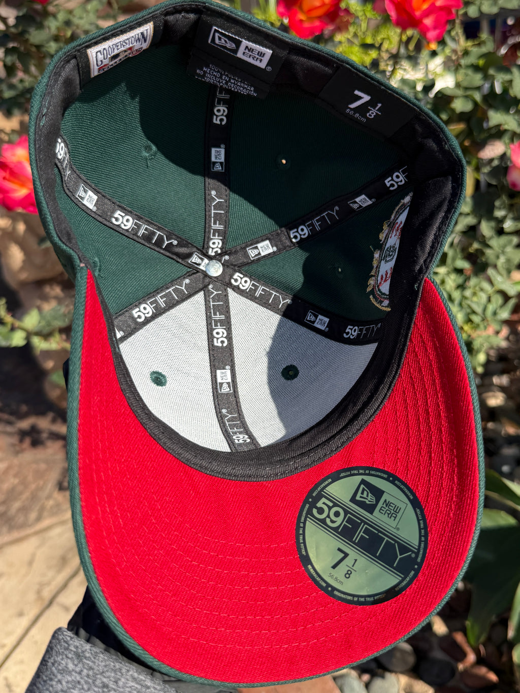 San Diego Padres (Designed By Fitted.Chango)