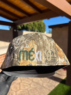 México Árbol Real