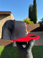 Cardenales de San Luis