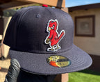 Cardenales de San Luis