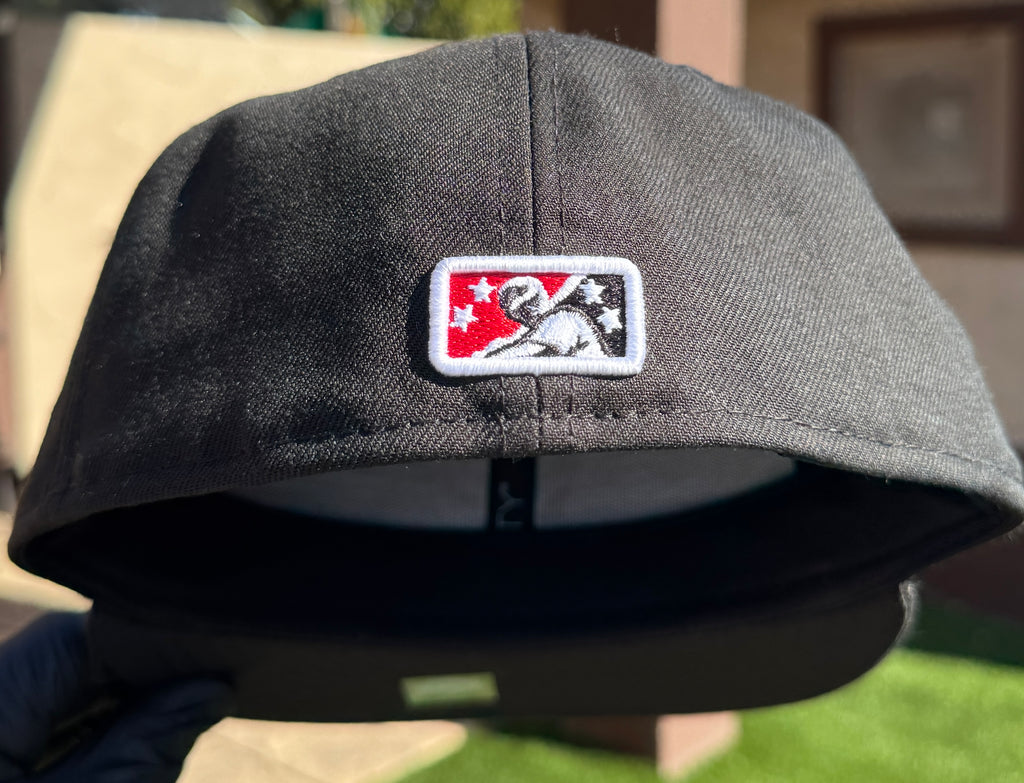 Chihuahuas de El Paso