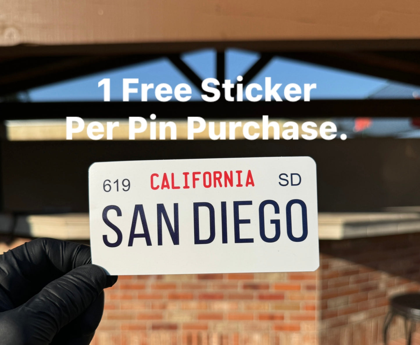 San Diego License Plate Pin