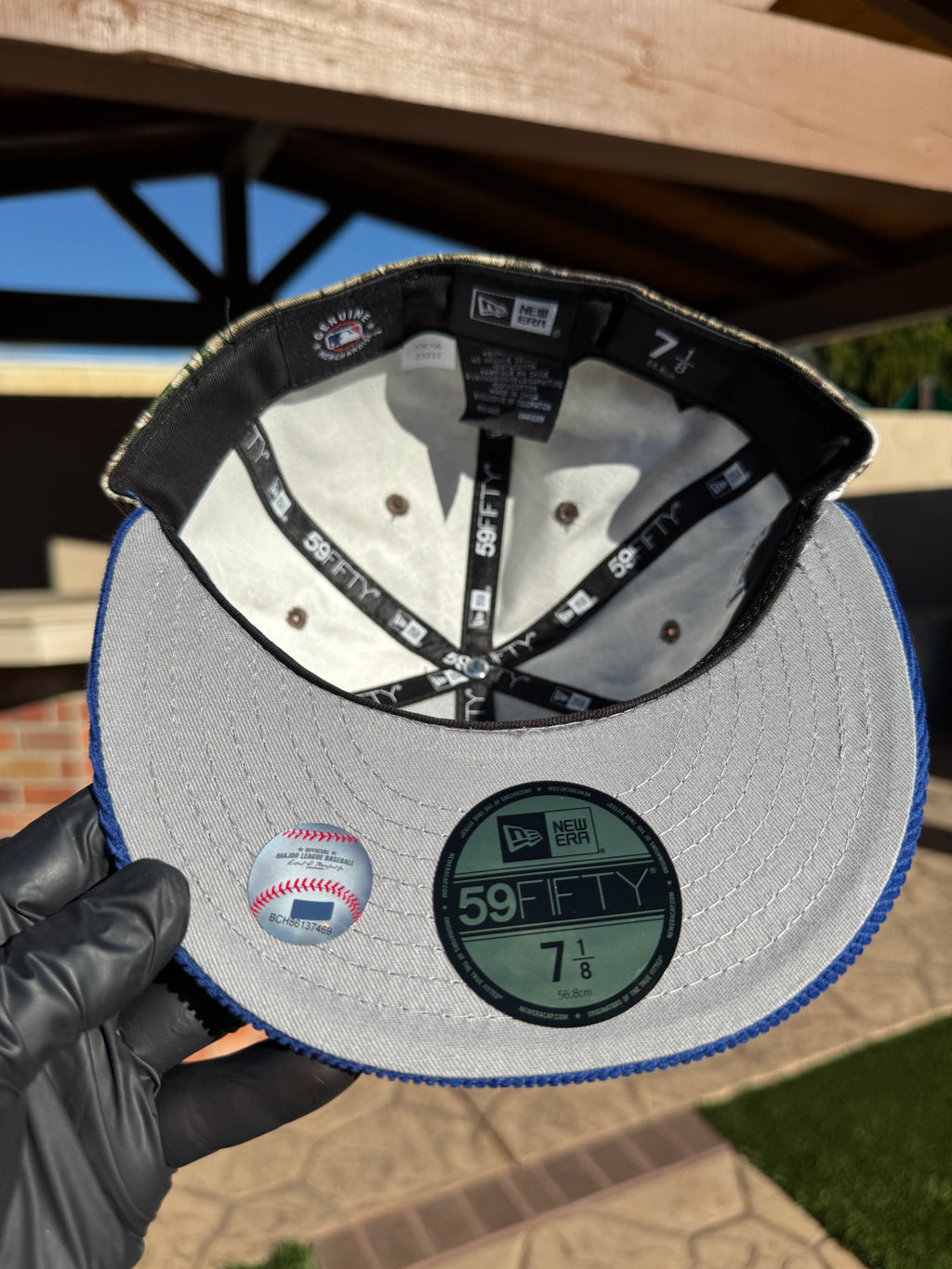 Los Angeles Dodgers (Árbol Real)