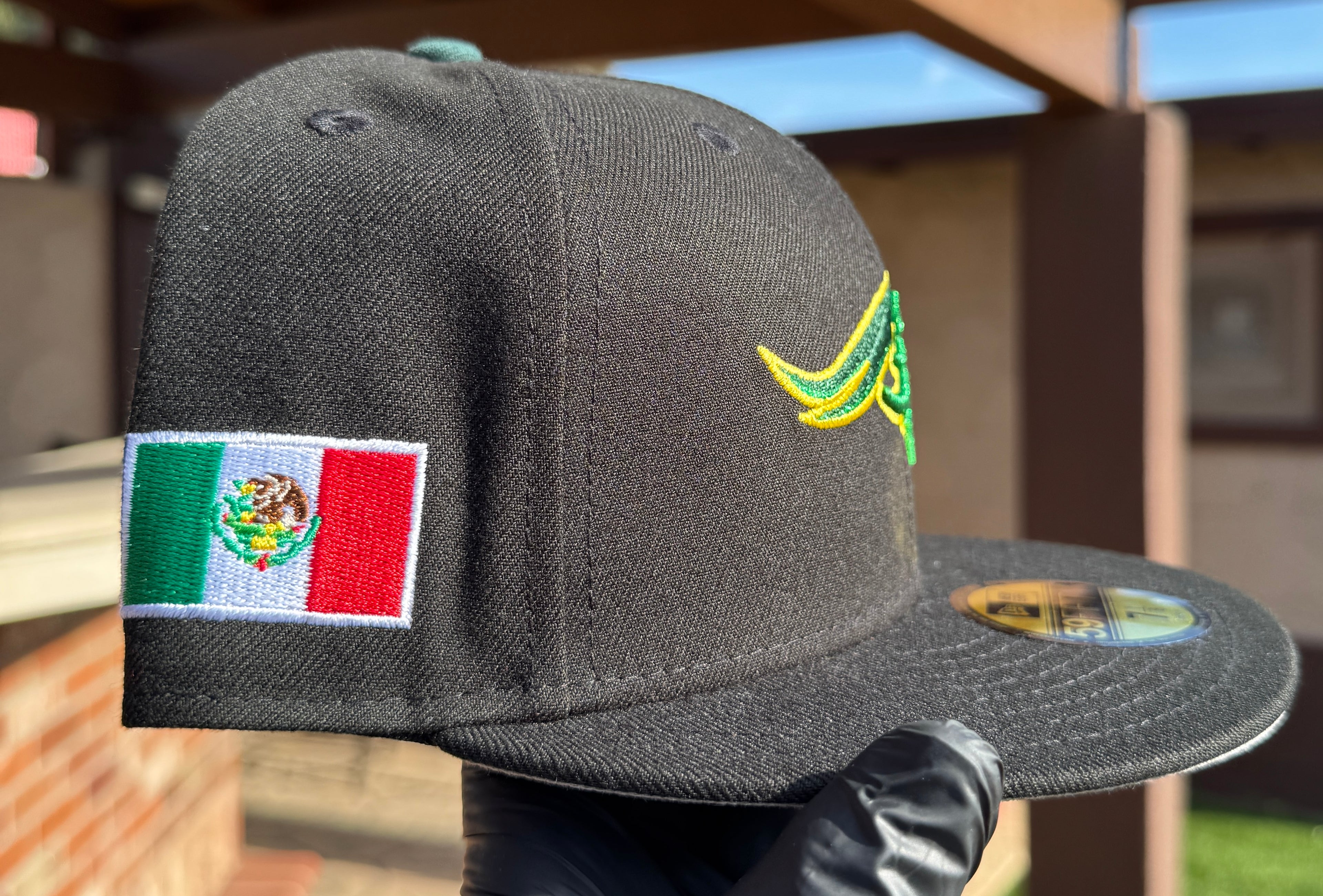 Pericos de Puebla