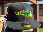 Pericos de Puebla