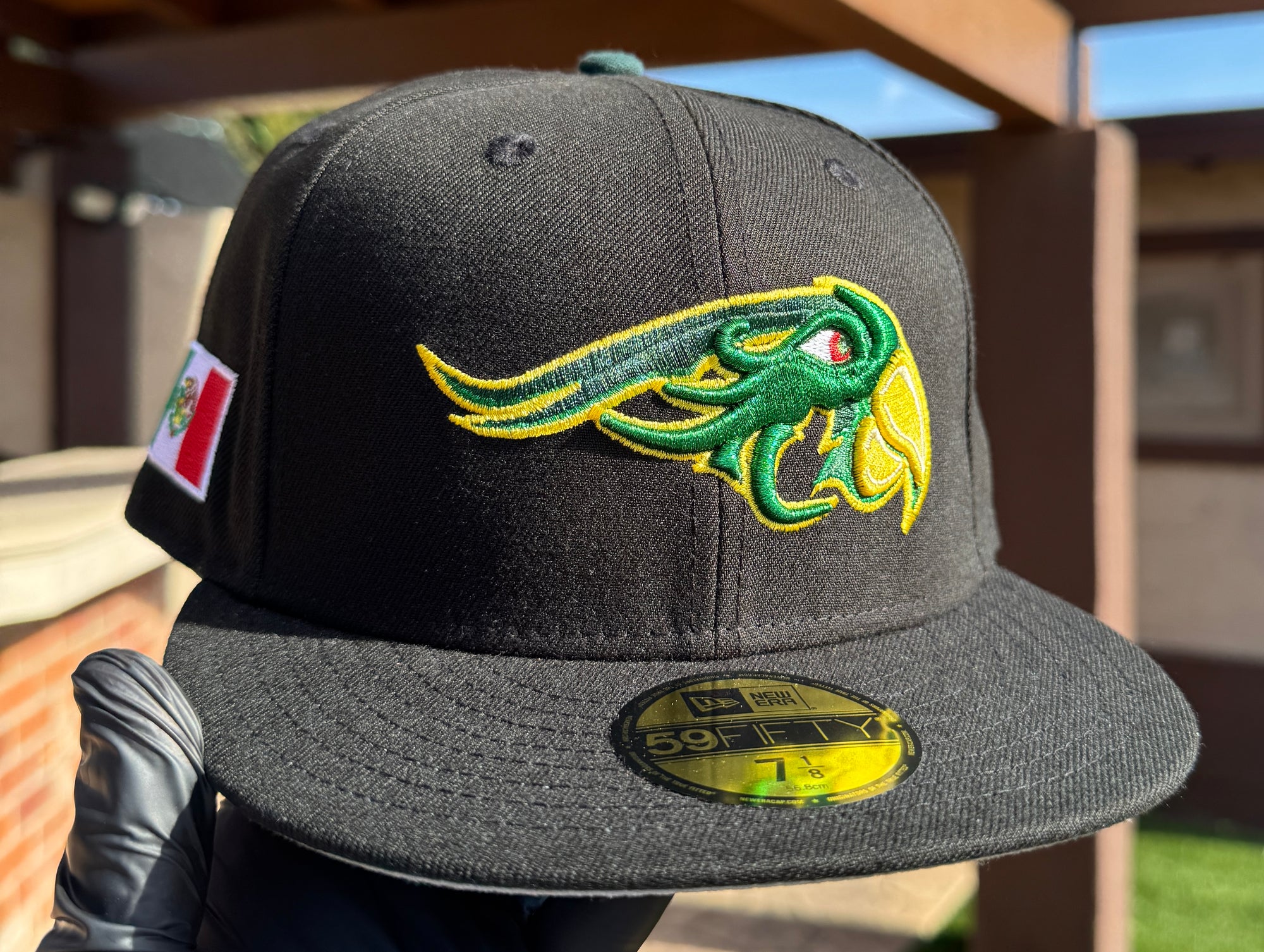 Pericos de Puebla