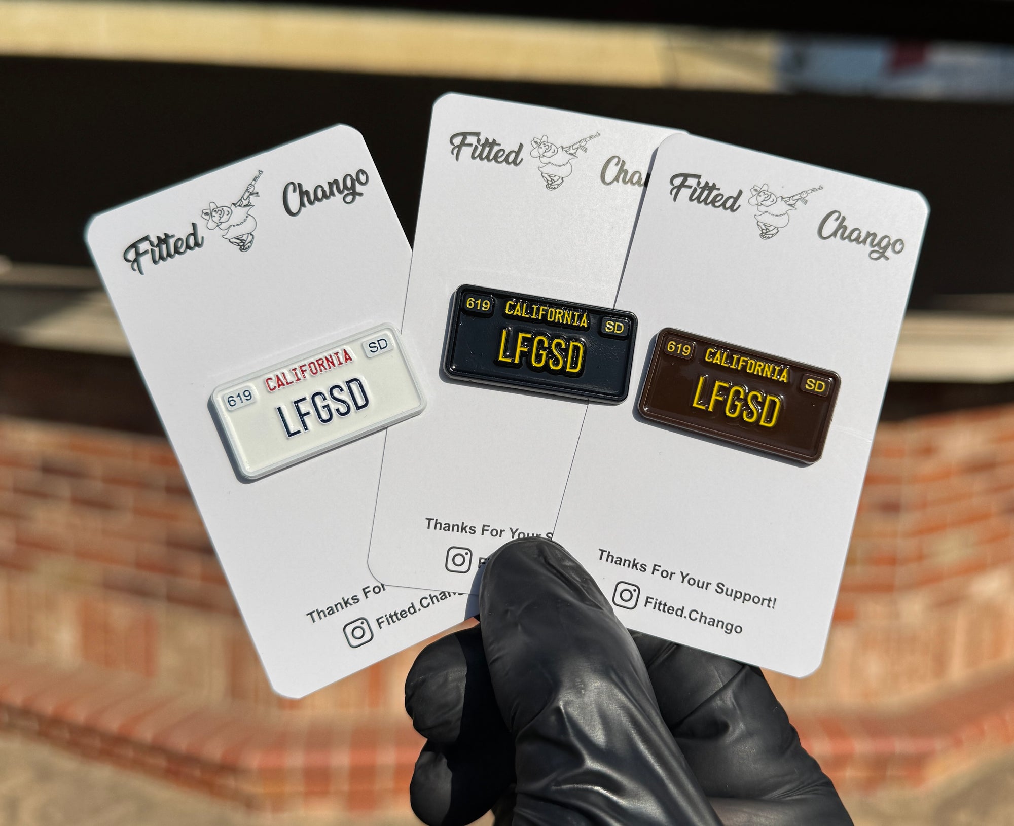 Placa de matrícula LFGSD