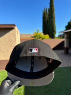 Diamondbacks de Arizona
