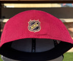 Chicago Black Hawks