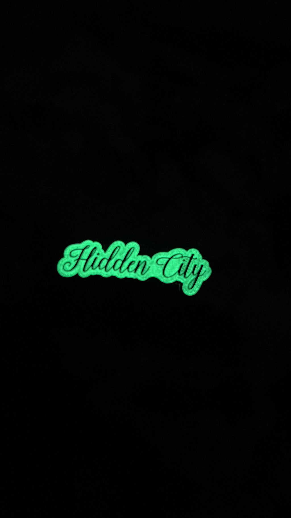 Escondido &amp; Hidden City Hat Clips (negro con fondo blanco que brilla en la oscuridad)